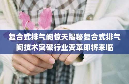 复合式排气阀惊天揭秘复合式排气阀技术突破行业变革即将来临