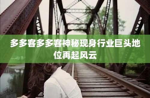 多多客多多客神秘现身行业巨头地位再起风云