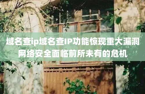 域名查ip域名查IP功能惊现重大漏洞网络安全面临前所未有的危机