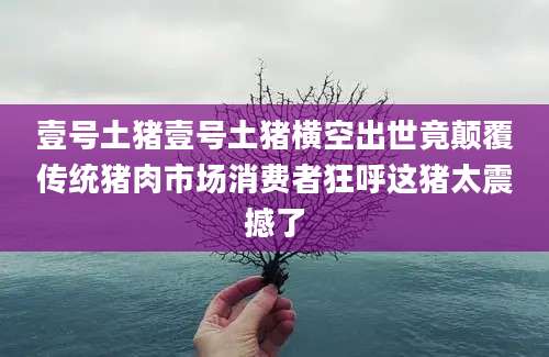 壹号土猪壹号土猪横空出世竟颠覆传统猪肉市场消费者狂呼这猪太震撼了