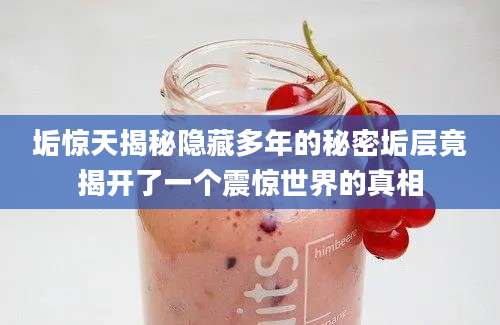 垢惊天揭秘隐藏多年的秘密垢层竟揭开了一个震惊世界的真相