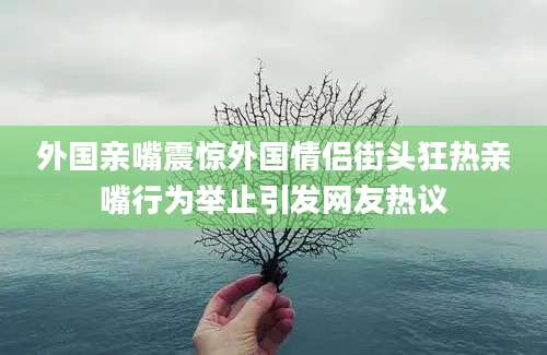 外国亲嘴震惊外国情侣街头狂热亲嘴行为举止引发网友热议