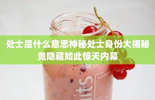 处士是什么意思神秘处士身份大揭秘竟隐藏如此惊天内幕