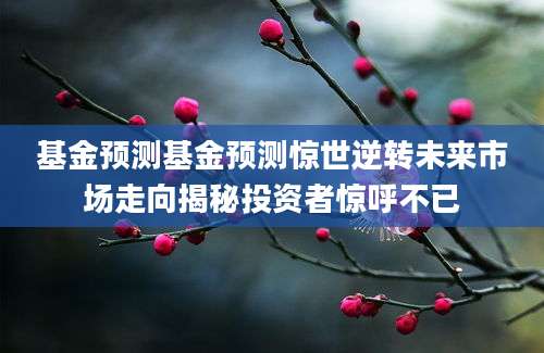 基金预测基金预测惊世逆转未来市场走向揭秘投资者惊呼不已