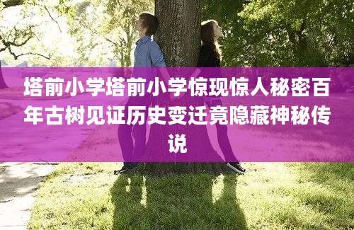 塔前小学塔前小学惊现惊人秘密百年古树见证历史变迁竟隐藏神秘传说