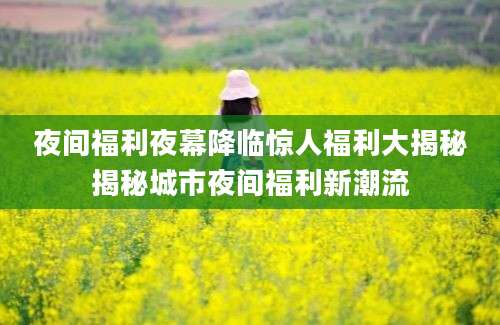 夜间福利夜幕降临惊人福利大揭秘揭秘城市夜间福利新潮流