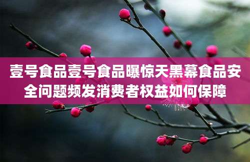 壹号食品壹号食品曝惊天黑幕食品安全问题频发消费者权益如何保障
