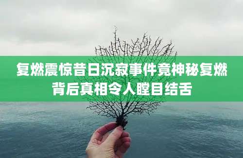 复燃震惊昔日沉寂事件竟神秘复燃背后真相令人瞠目结舌