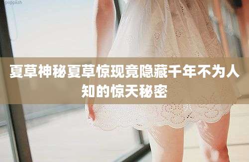 夏草神秘夏草惊现竟隐藏千年不为人知的惊天秘密