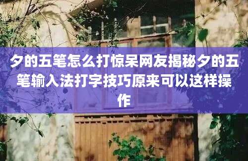 夕的五笔怎么打惊呆网友揭秘夕的五笔输入法打字技巧原来可以这样操作