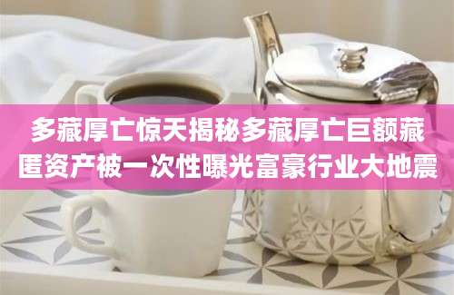 多藏厚亡惊天揭秘多藏厚亡巨额藏匿资产被一次性曝光富豪行业大地震