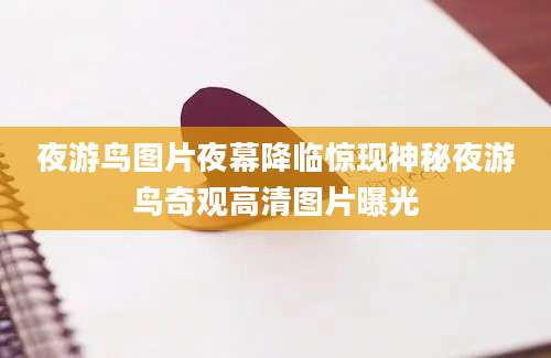 夜游鸟图片夜幕降临惊现神秘夜游鸟奇观高清图片曝光