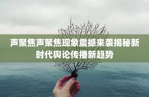 声聚焦声聚焦现象震撼来袭揭秘新时代舆论传播新趋势