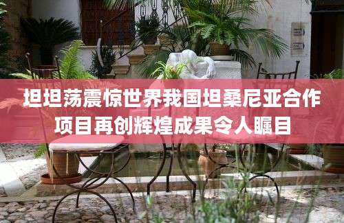 坦坦荡震惊世界我国坦桑尼亚合作项目再创辉煌成果令人瞩目