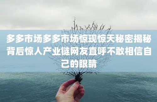 多多市场多多市场惊现惊天秘密揭秘背后惊人产业链网友直呼不敢相信自己的眼睛