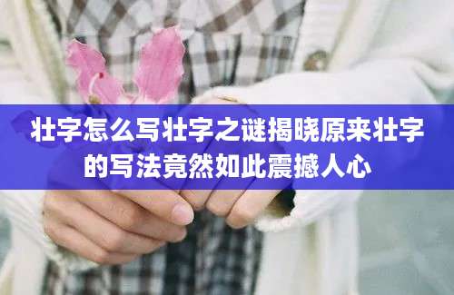 壮字怎么写壮字之谜揭晓原来壮字的写法竟然如此震撼人心