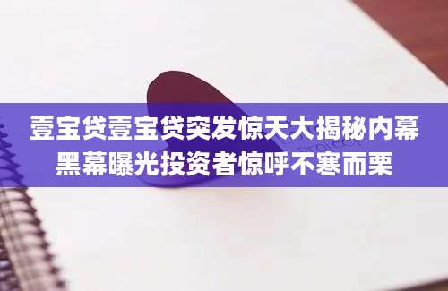 壹宝贷壹宝贷突发惊天大揭秘内幕黑幕曝光投资者惊呼不寒而栗