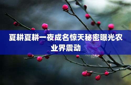 夏耕夏耕一夜成名惊天秘密曝光农业界震动