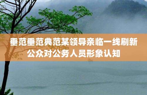 垂范垂范典范某领导亲临一线刷新公众对公务人员形象认知