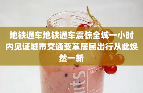 地铁通车地铁通车震惊全城一小时内见证城市交通变革居民出行从此焕然一新