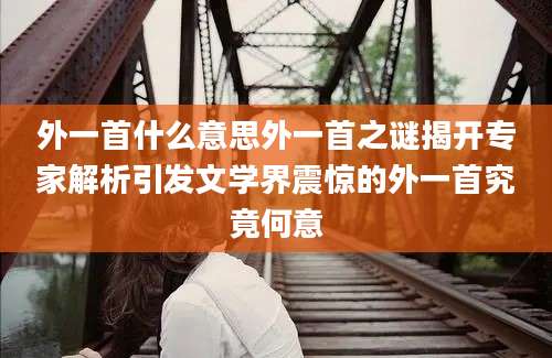 外一首什么意思外一首之谜揭开专家解析引发文学界震惊的外一首究竟何意