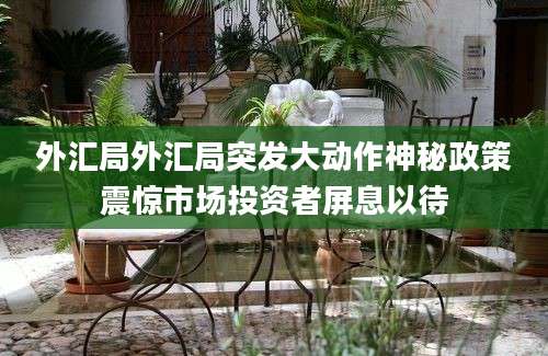 外汇局外汇局突发大动作神秘政策震惊市场投资者屏息以待