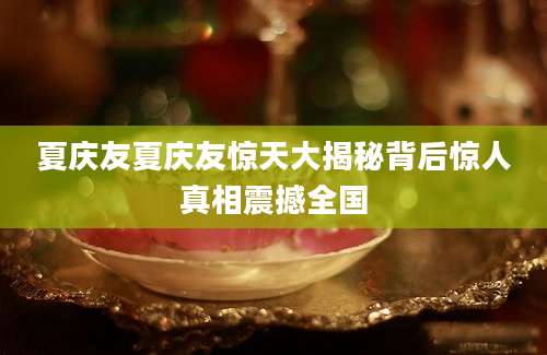 夏庆友夏庆友惊天大揭秘背后惊人真相震撼全国
