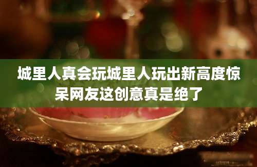 城里人真会玩城里人玩出新高度惊呆网友这创意真是绝了