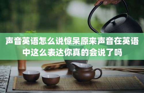 声音英语怎么说惊呆原来声音在英语中这么表达你真的会说了吗