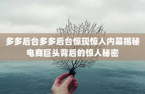 多多后台多多后台惊现惊人内幕揭秘电商巨头背后的惊人秘密