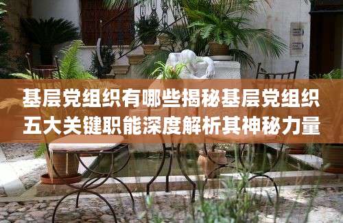 基层党组织有哪些揭秘基层党组织五大关键职能深度解析其神秘力量