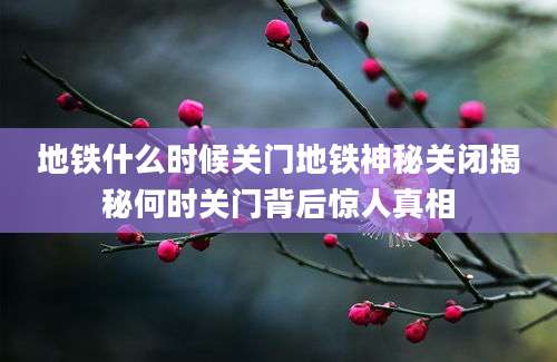 地铁什么时候关门地铁神秘关闭揭秘何时关门背后惊人真相