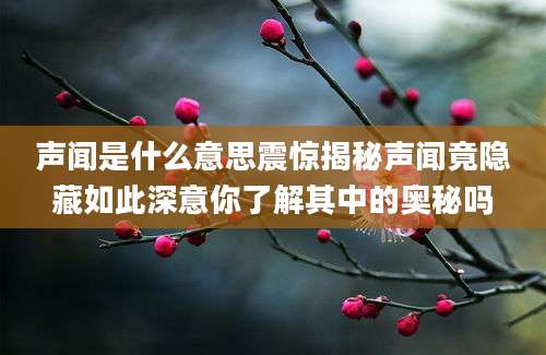 声闻是什么意思震惊揭秘声闻竟隐藏如此深意你了解其中的奥秘吗