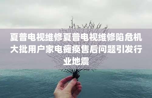 夏普电视维修夏普电视维修陷危机大批用户家电瘫痪售后问题引发行业地震
