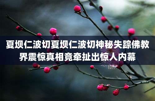 夏坝仁波切夏坝仁波切神秘失踪佛教界震惊真相竟牵扯出惊人内幕