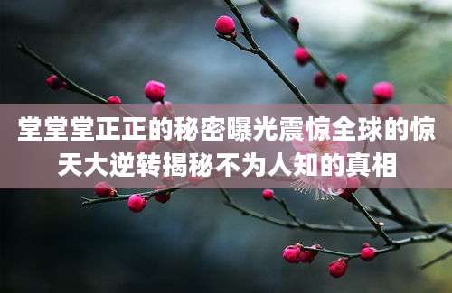 堂堂堂正正的秘密曝光震惊全球的惊天大逆转揭秘不为人知的真相