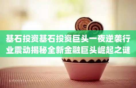 基石投资基石投资巨头一夜逆袭行业震动揭秘全新金融巨头崛起之谜