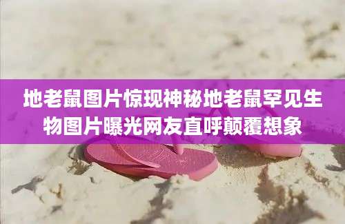 地老鼠图片惊现神秘地老鼠罕见生物图片曝光网友直呼颠覆想象