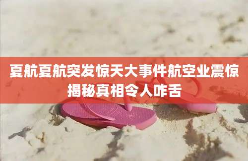 夏航夏航突发惊天大事件航空业震惊揭秘真相令人咋舌