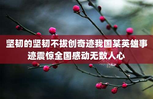 坚韧的坚韧不拔创奇迹我国某英雄事迹震惊全国感动无数人心