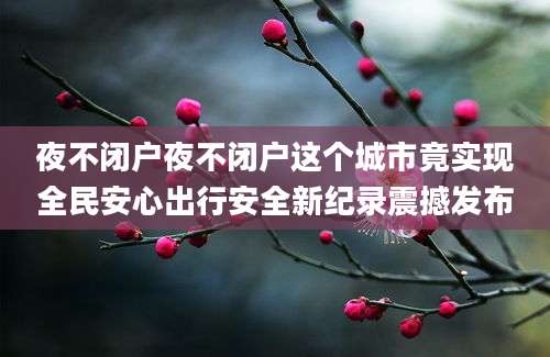 夜不闭户夜不闭户这个城市竟实现全民安心出行安全新纪录震撼发布