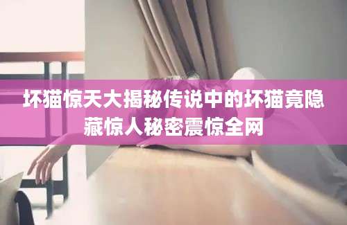 坏猫惊天大揭秘传说中的坏猫竟隐藏惊人秘密震惊全网