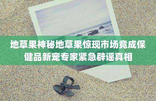 地草果神秘地草果惊现市场竟成保健品新宠专家紧急辟谣真相