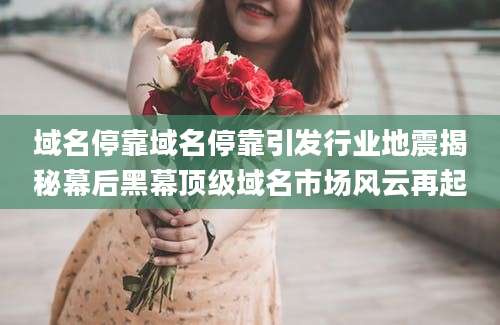域名停靠域名停靠引发行业地震揭秘幕后黑幕顶级域名市场风云再起