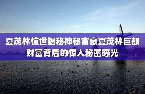 夏茂林惊世揭秘神秘富豪夏茂林巨额财富背后的惊人秘密曝光