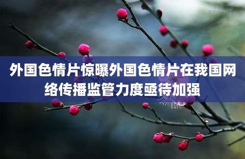 外国色情片惊曝外国色情片在我国网络传播监管力度亟待加强