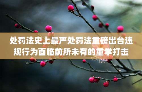 处罚法史上最严处罚法重磅出台违规行为面临前所未有的重拳打击