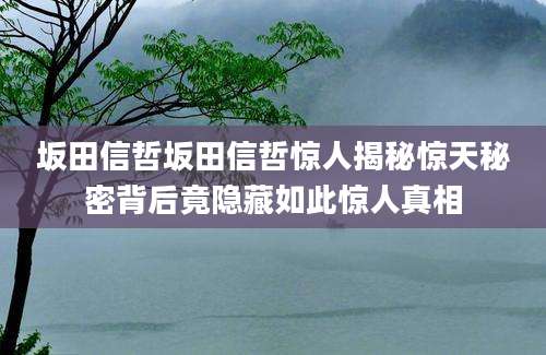 坂田信哲坂田信哲惊人揭秘惊天秘密背后竟隐藏如此惊人真相