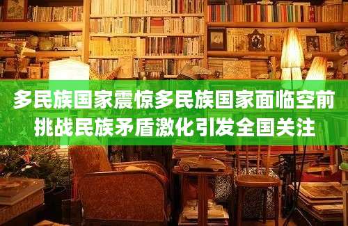 多民族国家震惊多民族国家面临空前挑战民族矛盾激化引发全国关注