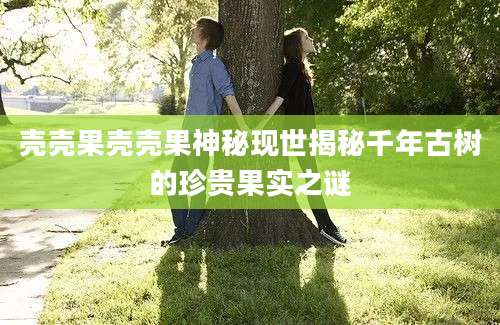 壳壳果壳壳果神秘现世揭秘千年古树的珍贵果实之谜